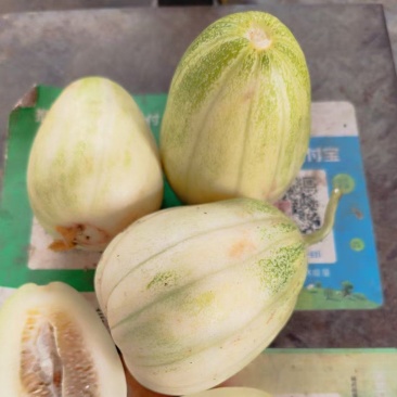 香瓜
