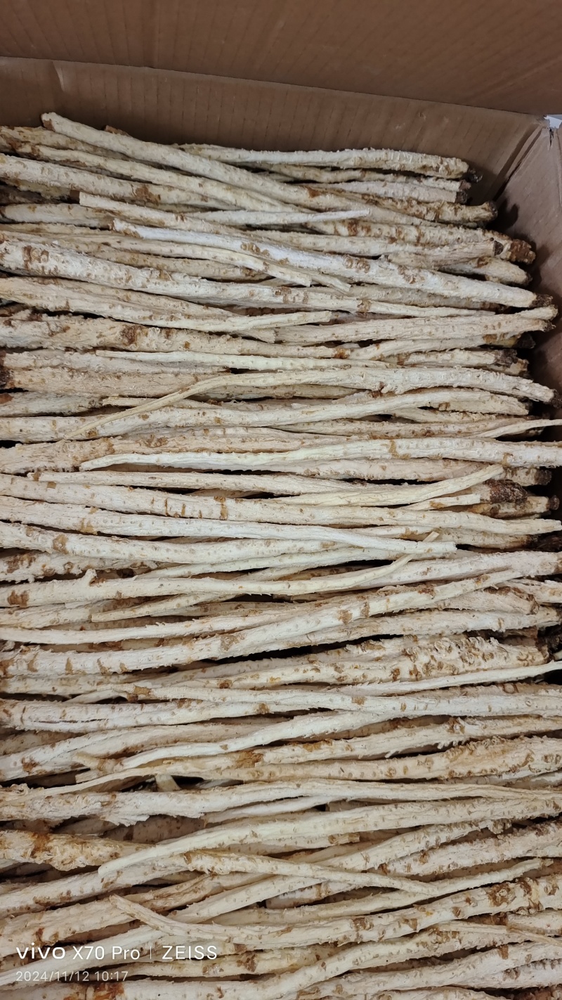 北沙参个子大条选货