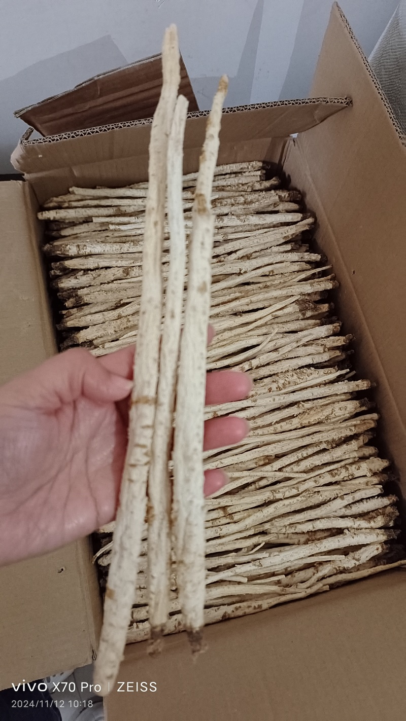 北沙参个子大条选货