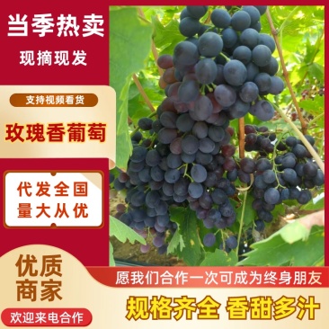 葡萄，阳光玫瑰葡萄，大棚葡萄精品葡萄