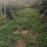 百香果钦蜜9号大量上市产地直发一手货源规格齐全价格美丽