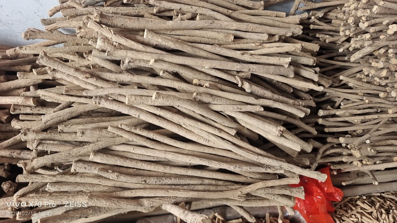 黄芪个子选货大条量大优惠