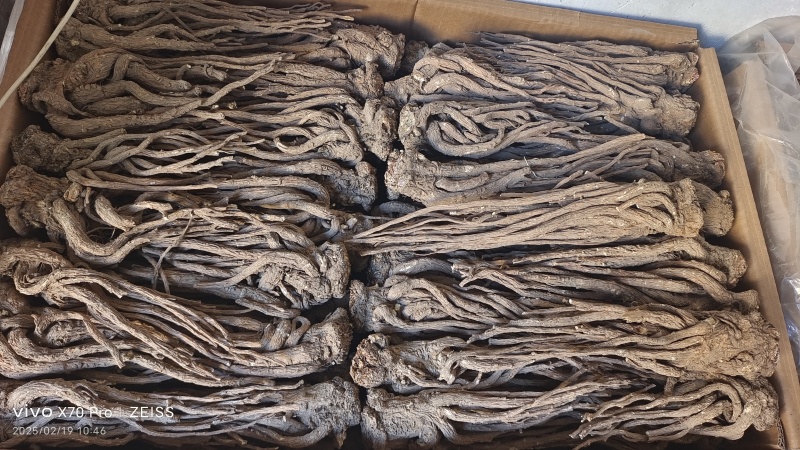 当归个子选货大条无硫量大优惠