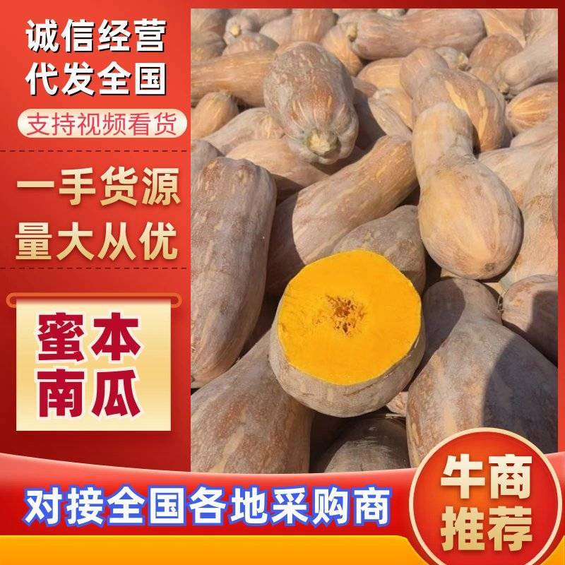 产地直发精品南瓜，常年接超市出口加工厂