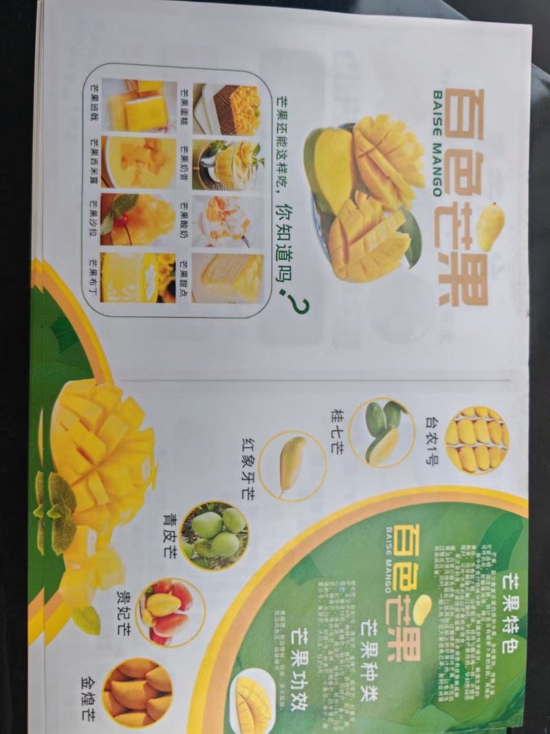 广西百色田东芒果金煌芒