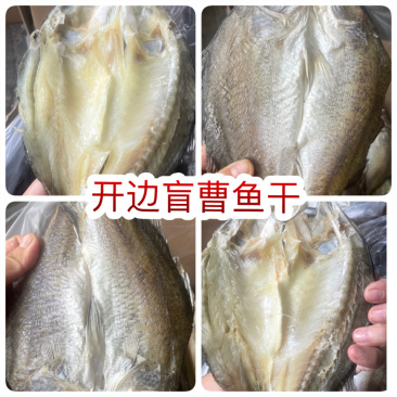 开边盲曹鱼干展会地摊电商开边盲曹鱼鲈鱼干鱼片鱼肉鱼条干
