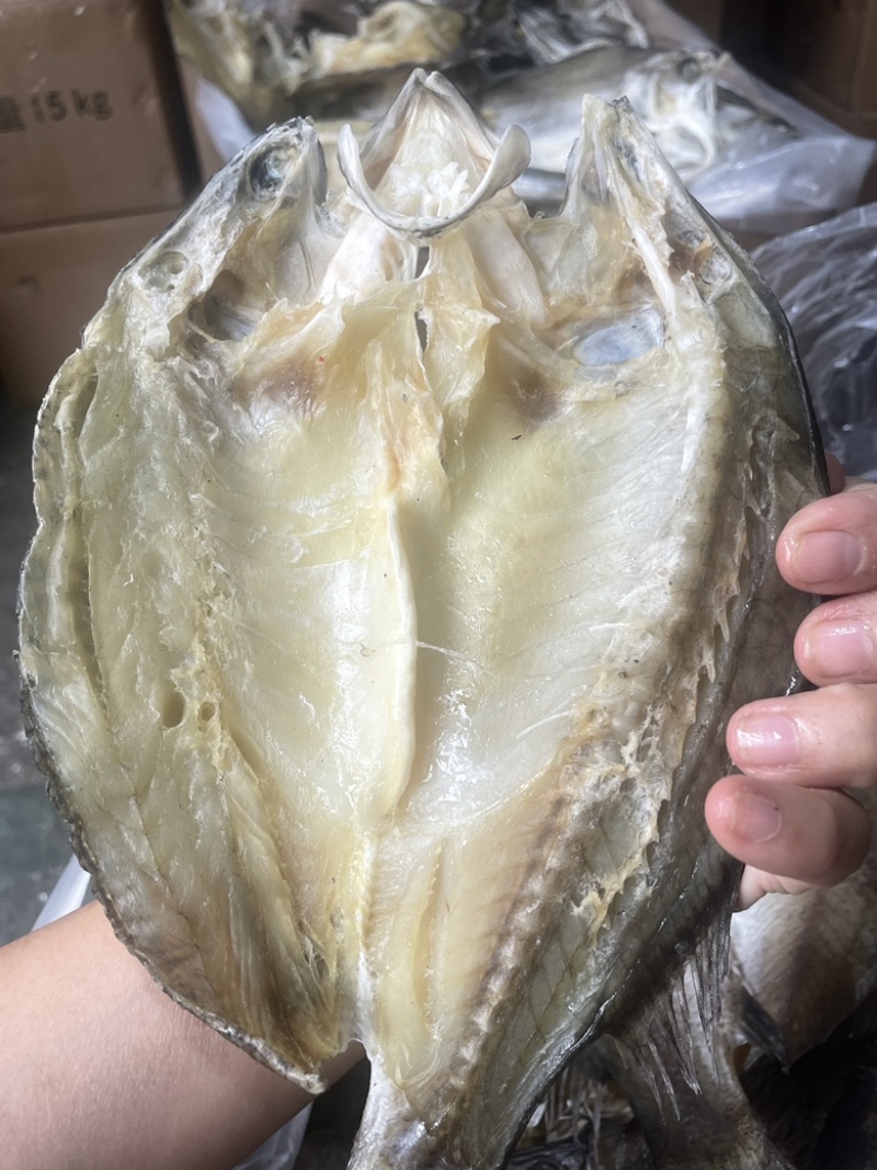 开边盲曹鱼干展会地摊电商开边盲曹鱼鲈鱼干鱼片鱼肉鱼条干
