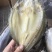 开边盲曹鱼干展会地摊电商开边盲曹鱼鲈鱼干鱼片鱼肉鱼条干