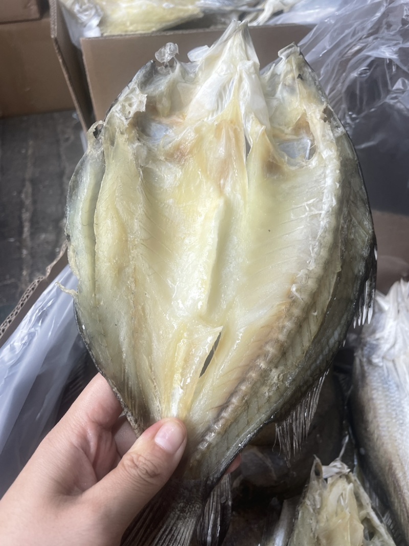 开边盲曹鱼干展会地摊电商开边盲曹鱼鲈鱼干鱼片鱼肉鱼条干