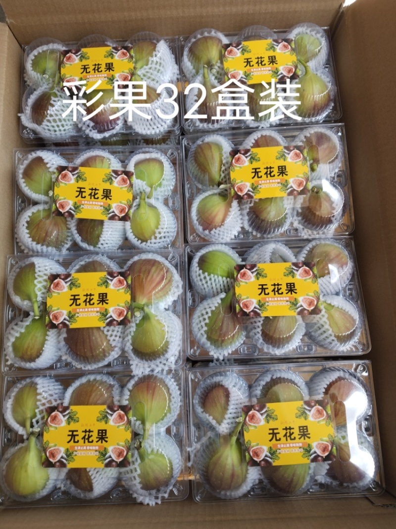 云南东川精品无花果，波姬红无花果，产地直供，量大价低。
