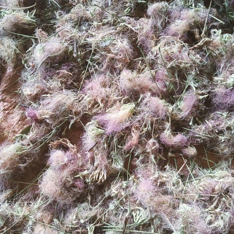 合欢花干货，绒花保证质量一手货源产地直发欢迎咨询合作