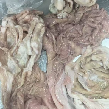 羊小肚羊散袋