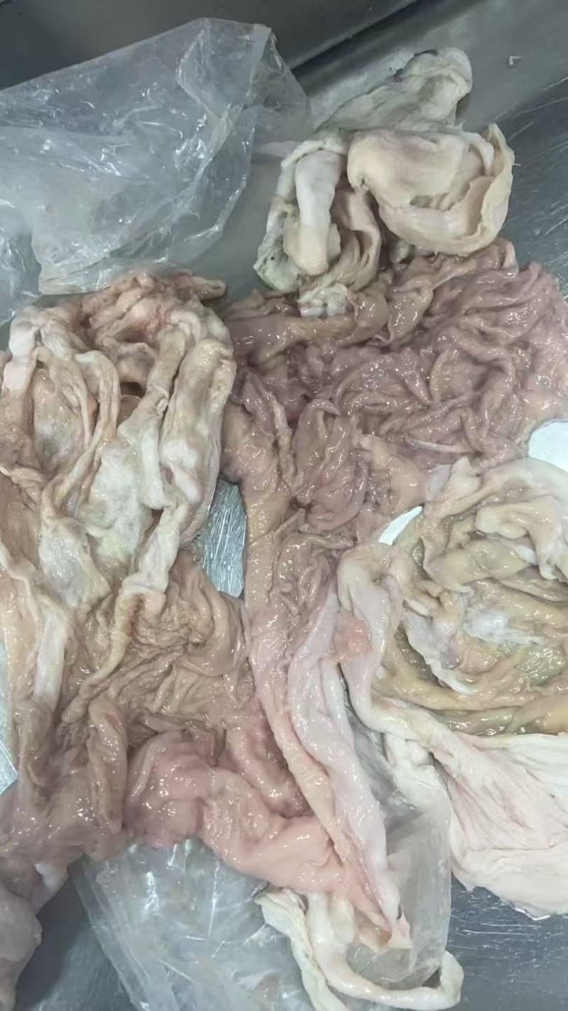 羊小肚羊散袋