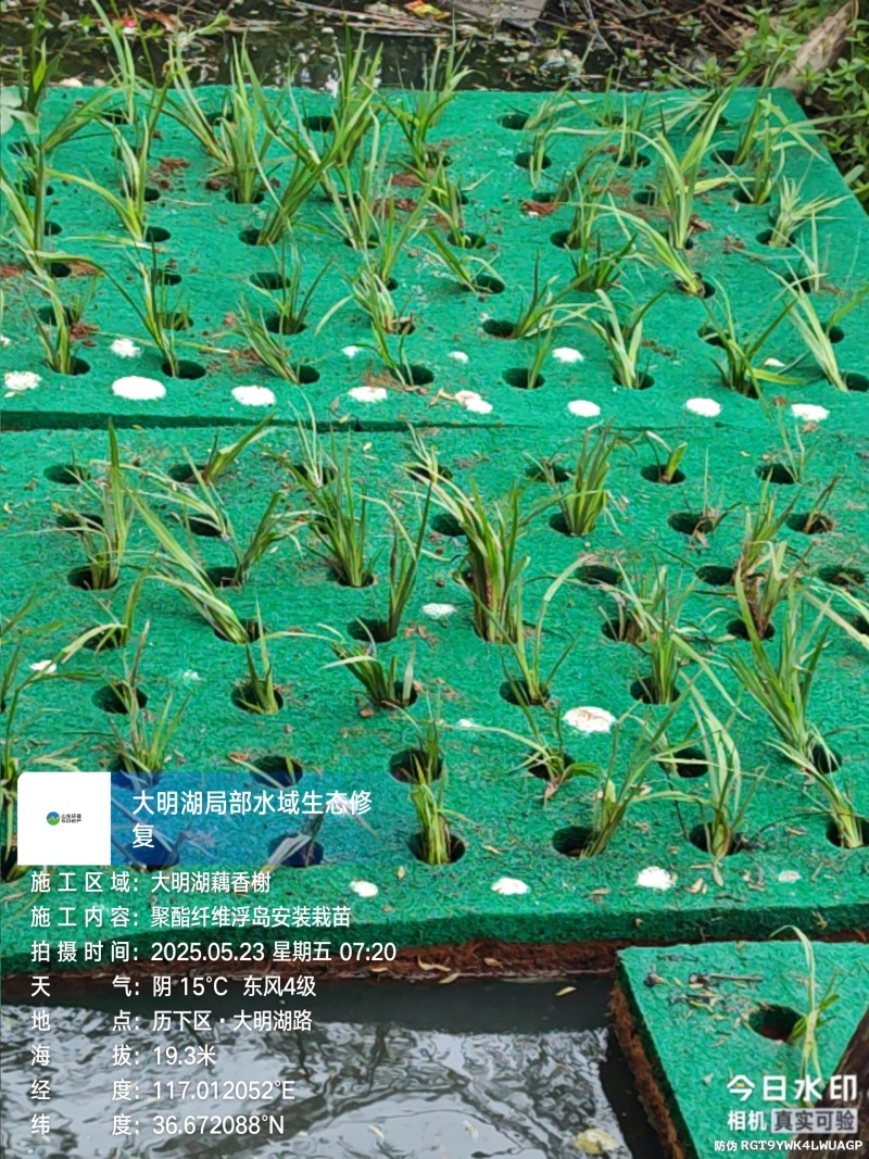 聚酯纤维浮岛人工浮岛批发施工