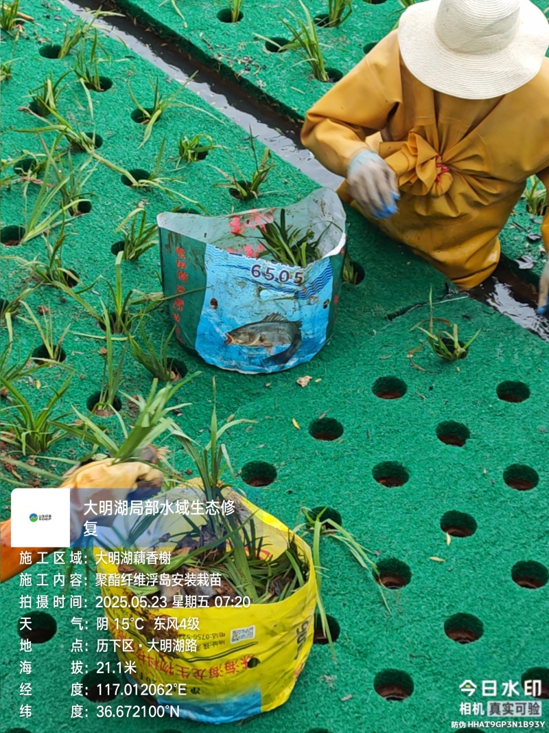 聚酯纤维浮岛人工浮岛批发施工