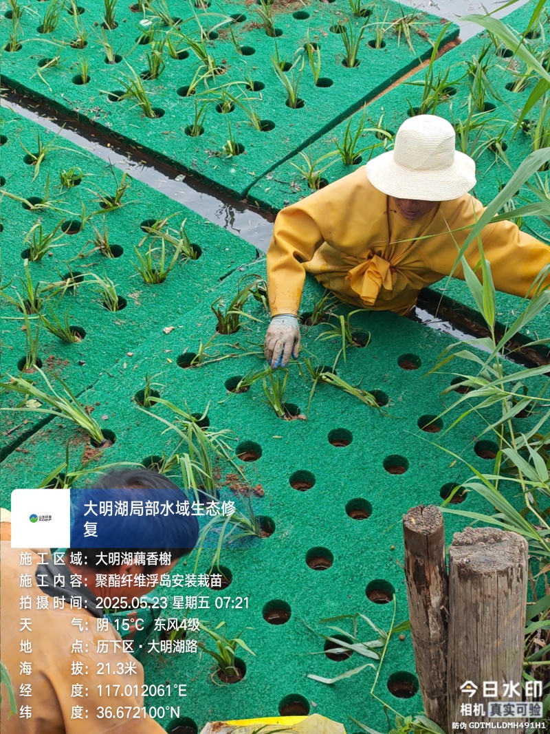 聚酯纤维浮岛人工浮岛批发施工