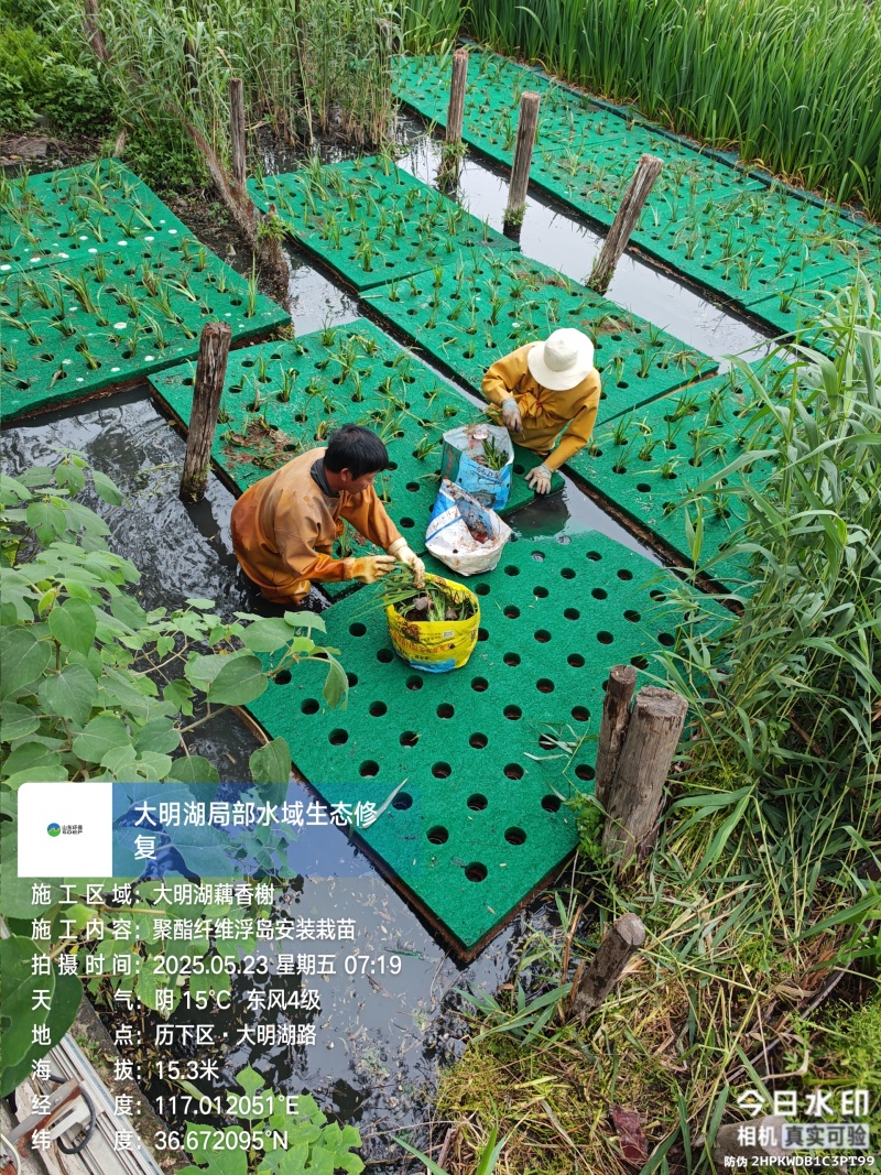 聚酯纤维浮岛人工浮岛批发施工