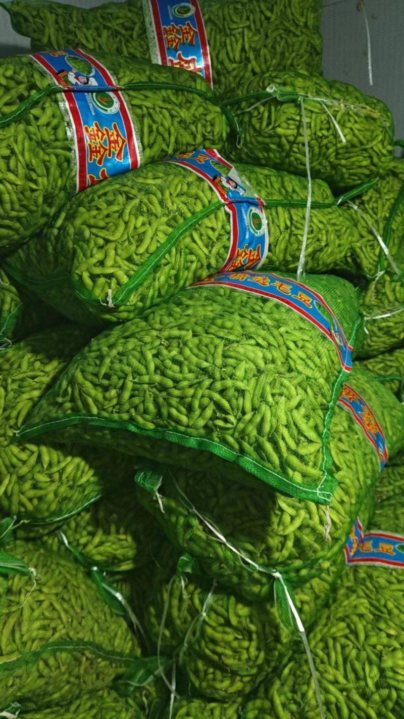 精品毛豆