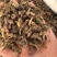 款冬花中药材款冬花艾冬花九九花新货无杂