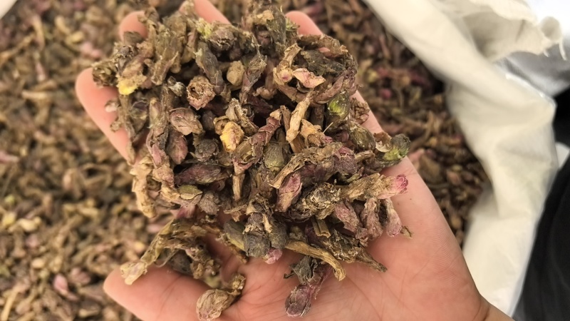 款冬花中药材款冬花艾冬花九九花新货无杂