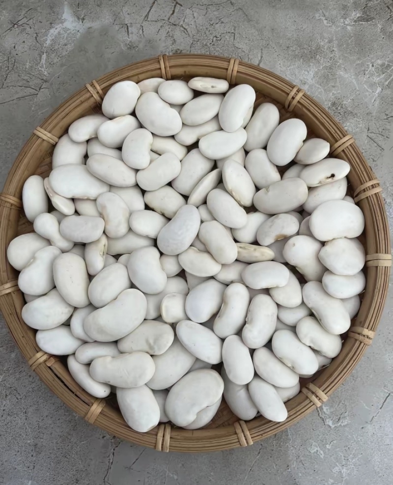 云南白芸豆