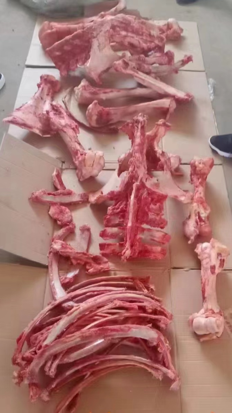 山东新鲜驴骨头架子骨肉少脊梁骨全国发货欢迎咨询