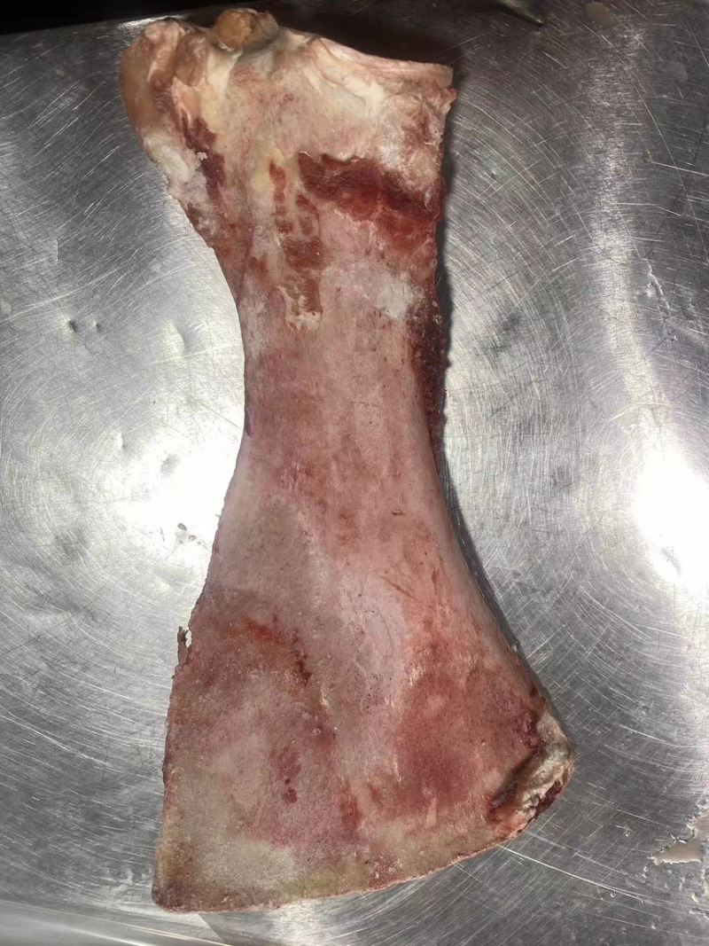 山东新鲜驴骨头架子骨肉少脊梁骨全国发货欢迎咨询