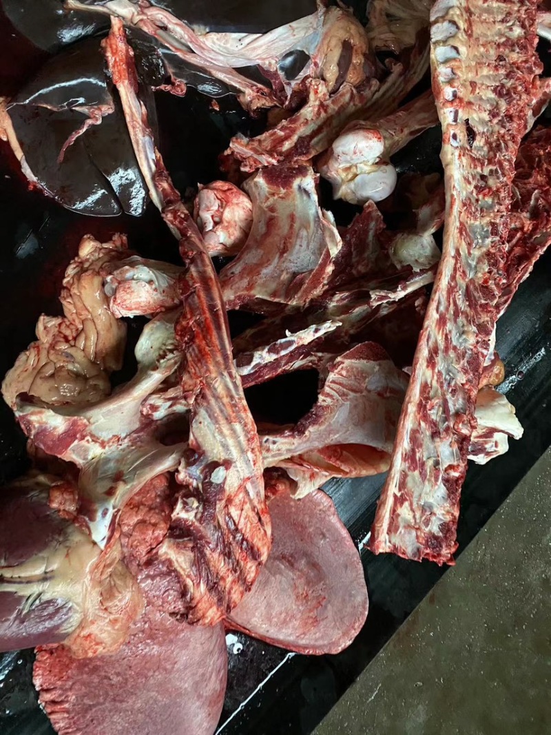 山东新鲜驴骨头架子骨脊梁骨各种规格批发零售都可以