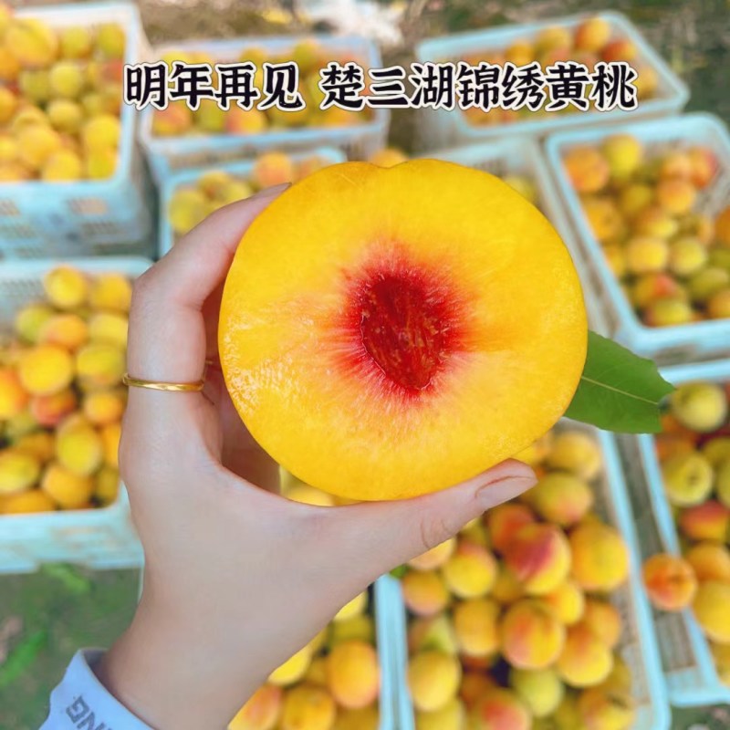 湖北三湖黄桃