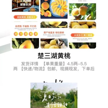 湖北三湖黄桃