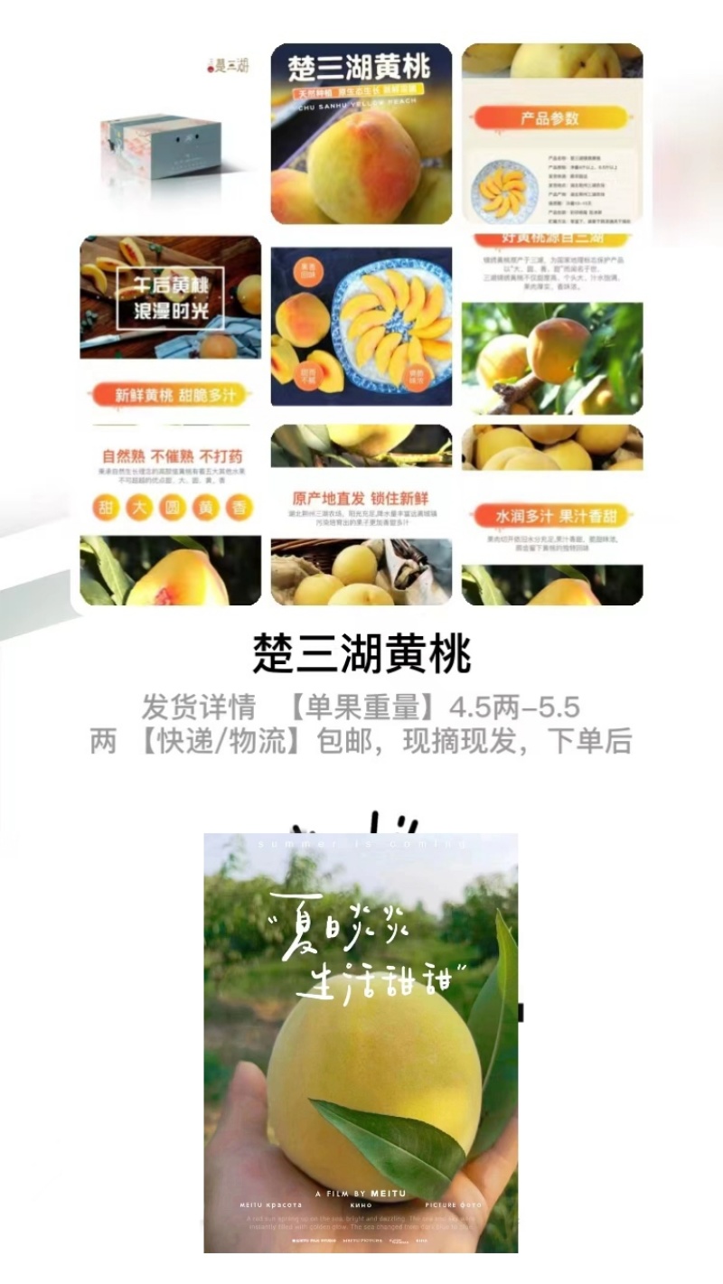 湖北三湖黄桃
