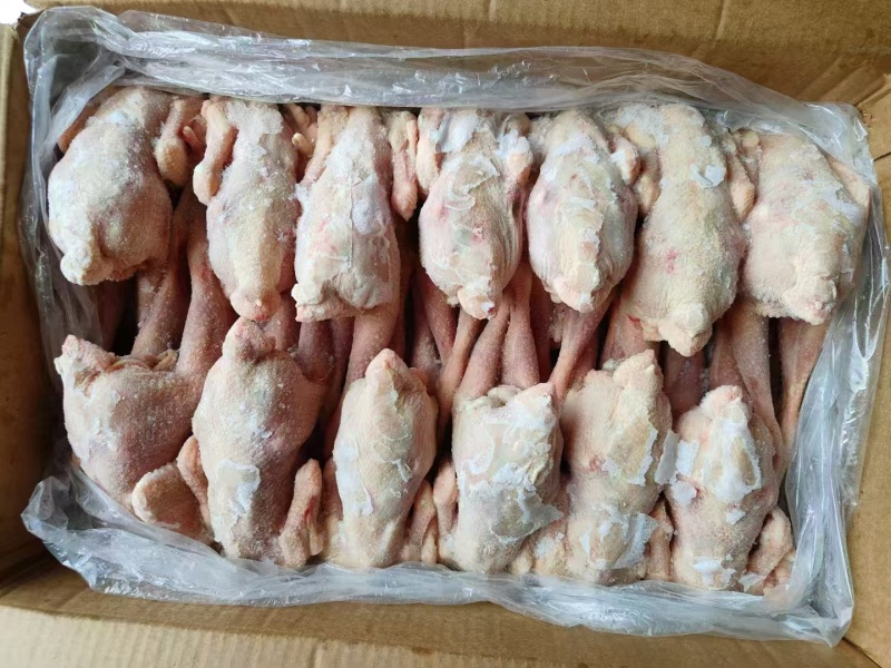 三黄鸡规格齐全一级二级长期有货可以视频看货