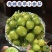 青甜翡翠小番茄