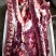 新鲜驴肉带肉脊骨带肉架子骨厂家发货保质保量可一件代发
