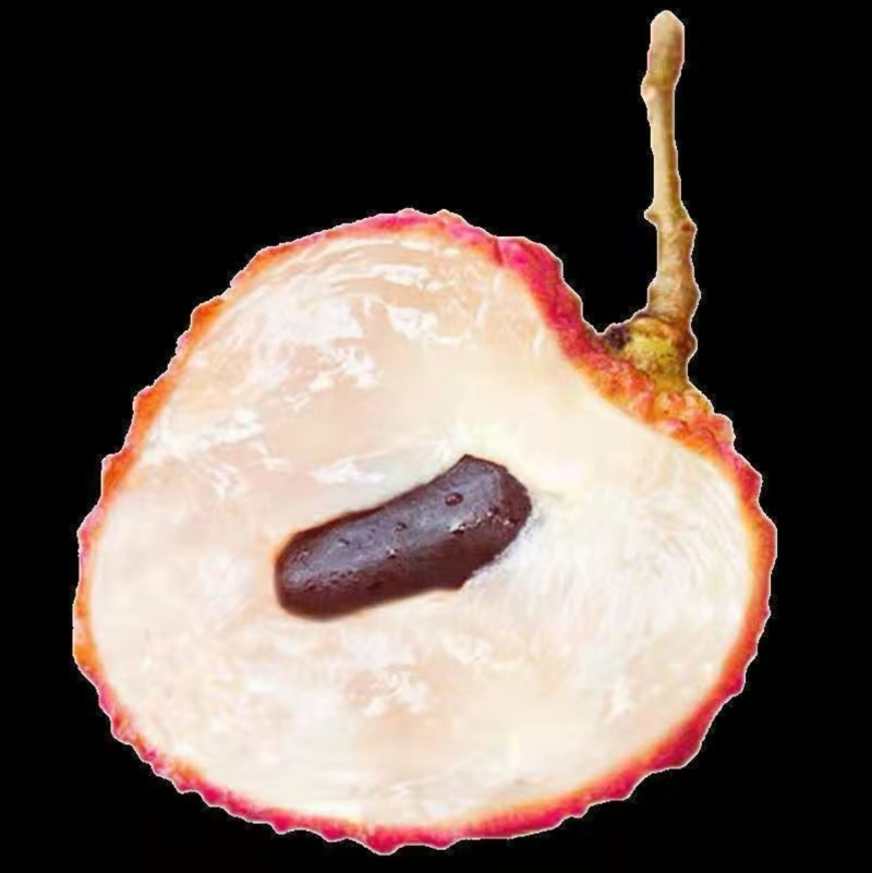 精品仙进奉荔枝对接各大商超全国可发产地直发
