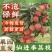 精品仙进奉荔枝对接各大商超全国可发产地直发