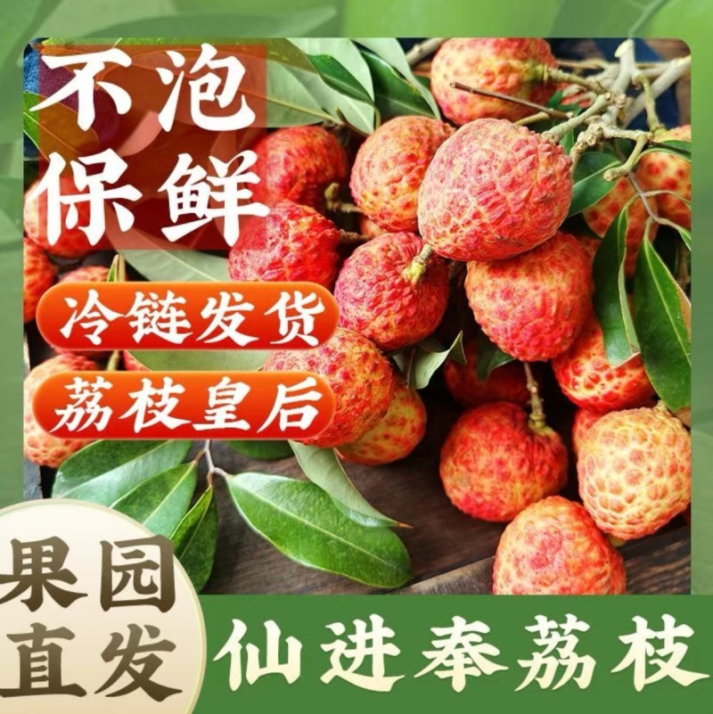 精品仙进奉荔枝对接各大商超全国可发产地直发