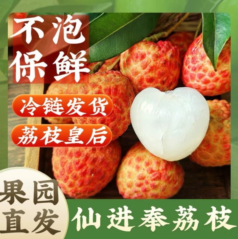 精品仙进奉荔枝对接各大商超全国可发产地直发