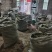 云南双叶大果石橄榄包邮到家，饱满漂亮，坏了包赔