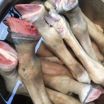 新鲜驴蹄骡马长腿蹄子蹄筋带皮现宰驴肉马肉切块顺丰包邮