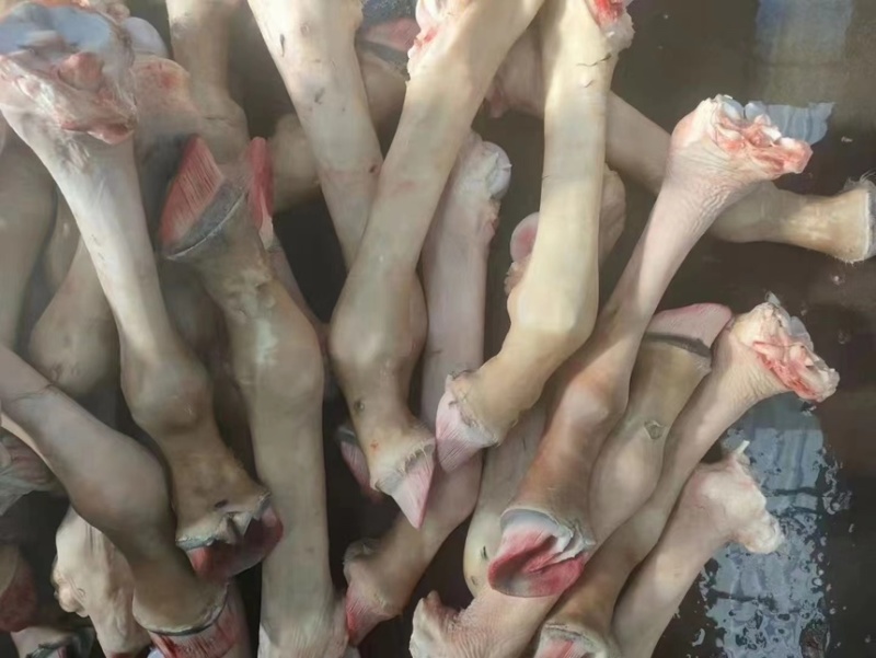 新鲜驴蹄骡马长腿蹄子蹄筋带皮现宰驴肉马肉切块顺丰包邮