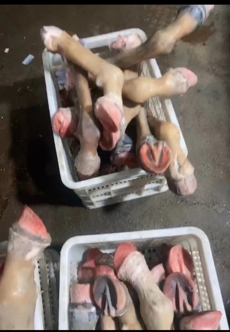 新鲜驴蹄骡马长腿蹄子蹄筋带皮现宰驴肉马肉切块顺丰包邮