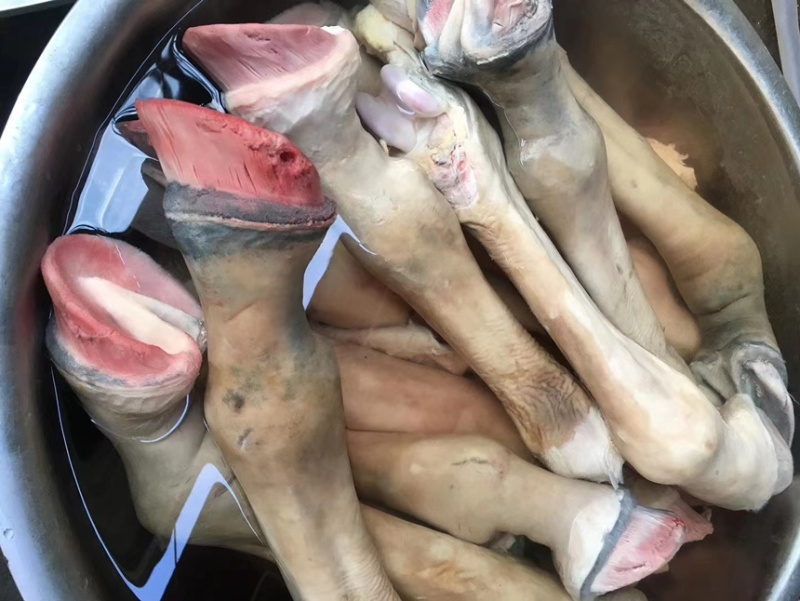新鲜驴蹄骡马长腿蹄子蹄筋带皮现宰驴肉马肉切块顺丰包邮
