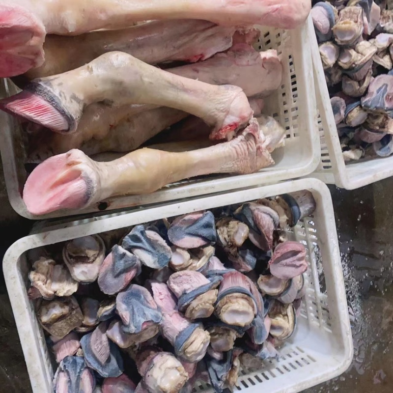 新鲜驴蹄骡马长腿蹄子蹄筋带皮现宰驴肉马肉切块顺丰包邮