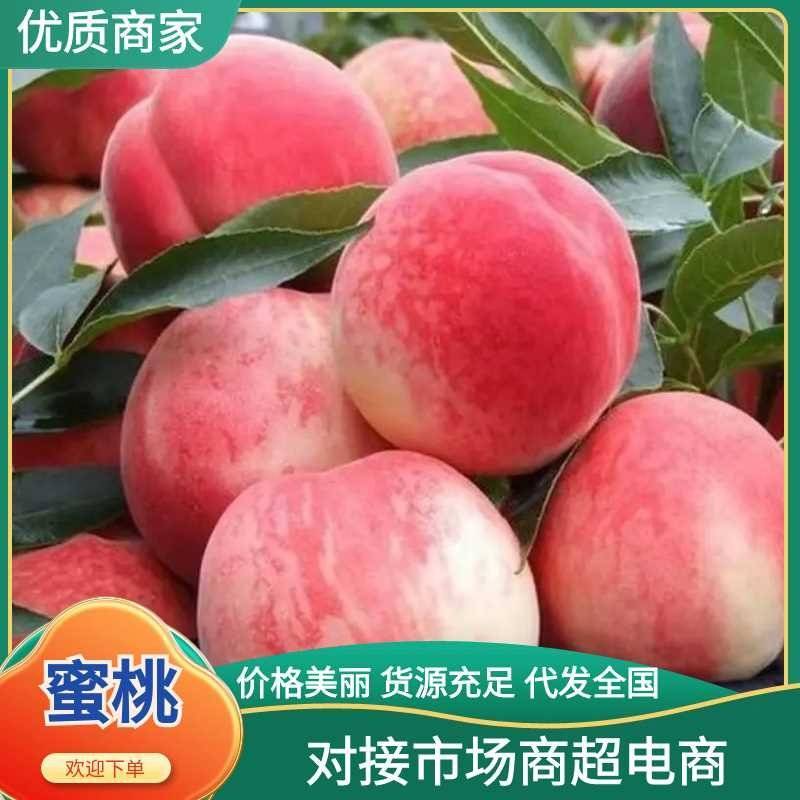 新鲜采摘应季水果蒙阴蜜桃口感脆甜多汁一手货源