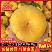 山东蒙阴黄金蟠桃支持一件代发新鲜采摘一手货源