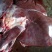 新鲜驴肝货源充足一件代发顺丰包邮厂家发货