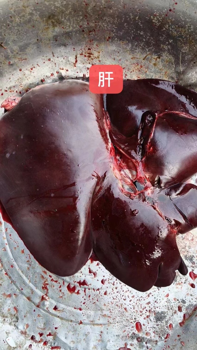 新鲜驴肝货源充足一件代发顺丰包邮厂家发货