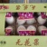 应季无花果全年有货
