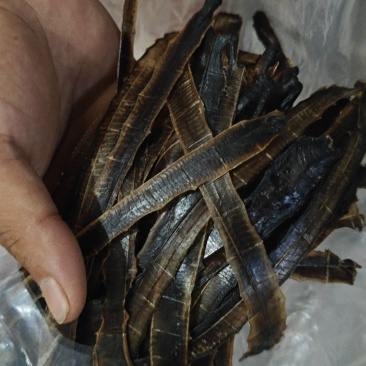 天然野生特货广地龙，全开全清水清洗，无泥无沙